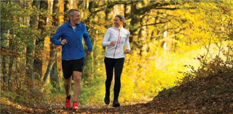 Health Benefits of Chondroitin