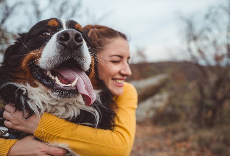 Cúrcuma para perros