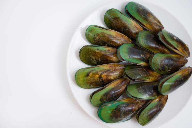 Mejillón de labio verde para las articulaciones