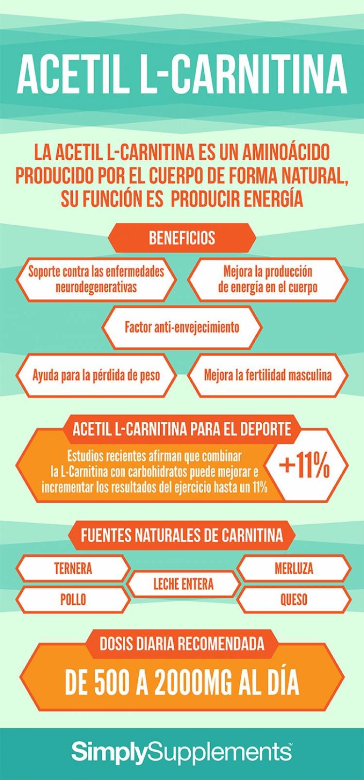 Beneficios de la L-Carnitina