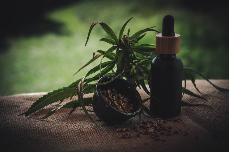 ¿Qué es el CBD? Propiedades medicinales y beneficios