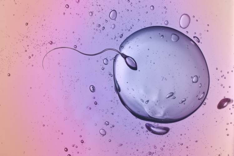 Nutrientes para una mejor calidad de esperma