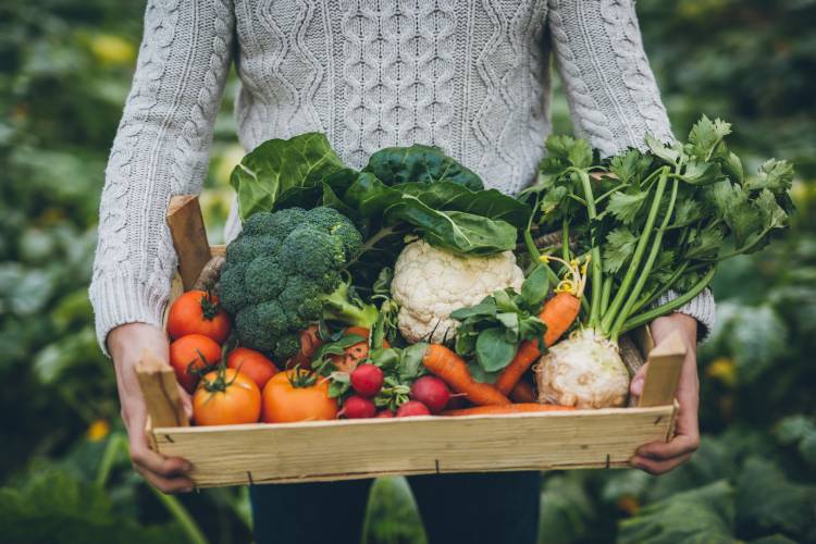 Deficiencias más comunes en la dieta vegana