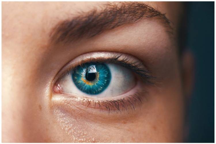 ¿Qué dicen tus ojos sobre tu salud?