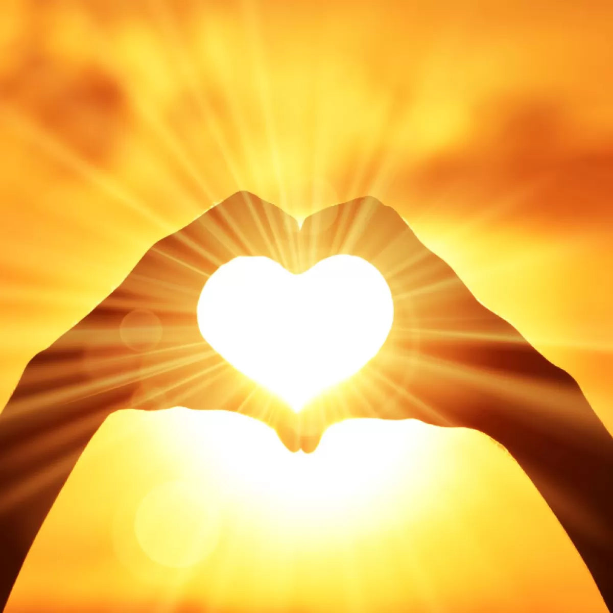 Perfect Partners for Vitamin D