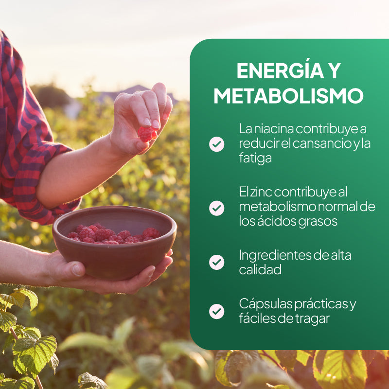 Un gráfico promocional con un recuadro de texto verde a la derecha en el que se lee «ENERGÍA Y METABOLISMO» y una lista con viñetas en español, junto a una fotografía de estilo de vida en la que aparece una persona sosteniendo un cuenco de bayas rojas en un jardín.