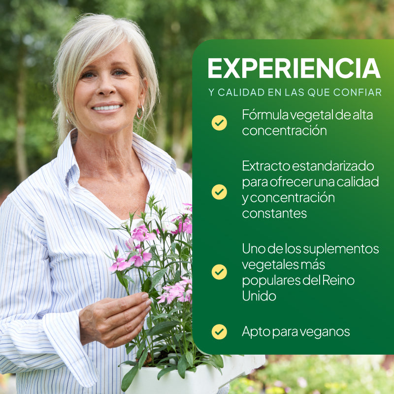 Imagen promocional de «Simply Supplements Ginkgo Biloba» que destaca su apoyo a base de hierbas de gran potencia, su extracto estandarizado para garantizar una potencia y pureza constantes, el hecho de que es uno de los suplementos a base de hierbas más populares del Reino Unido y su idoneidad para veganos.