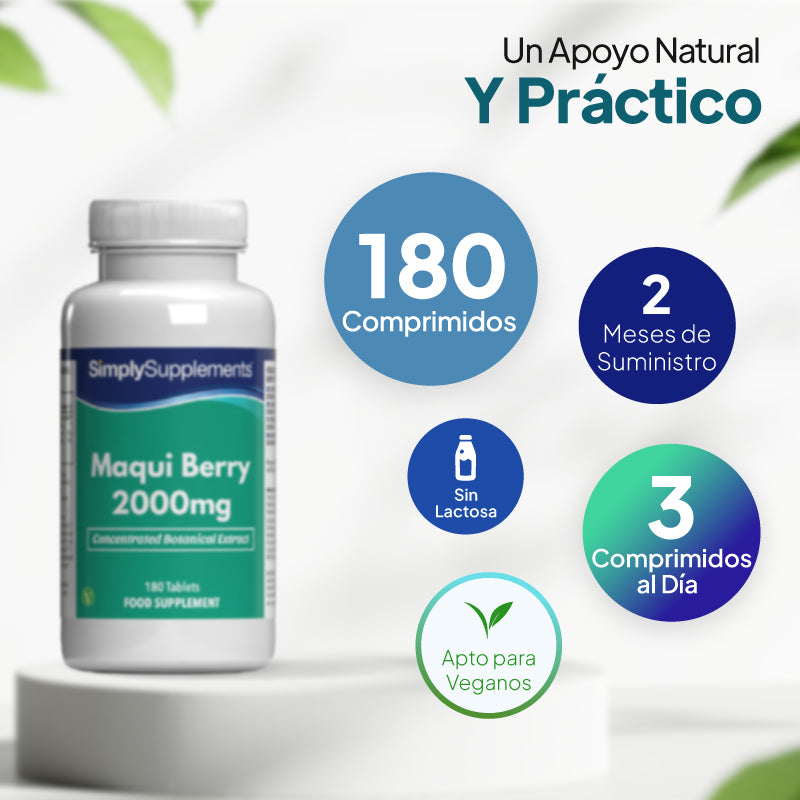 Un frasco blanco del complemento alimenticio «SimplySupplements Maqui Berry 2000 mg» sobre un pedestal blanco, rodeado de texto promocional y etiquetas circulares en español que destacan que contiene 180 comprimidos, un suministro para 2 meses, que no contiene lactosa, que la dosis diaria es de 3 comprimidos y que es apto para veganos.