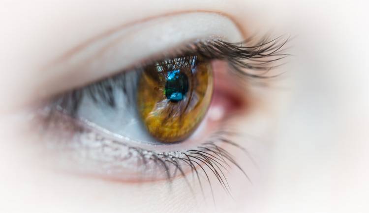 El síndrome del ojo seco